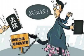 丽江工资清欠服务